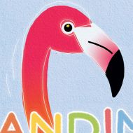 ANDIMATION – Accelerator for Andean Animation